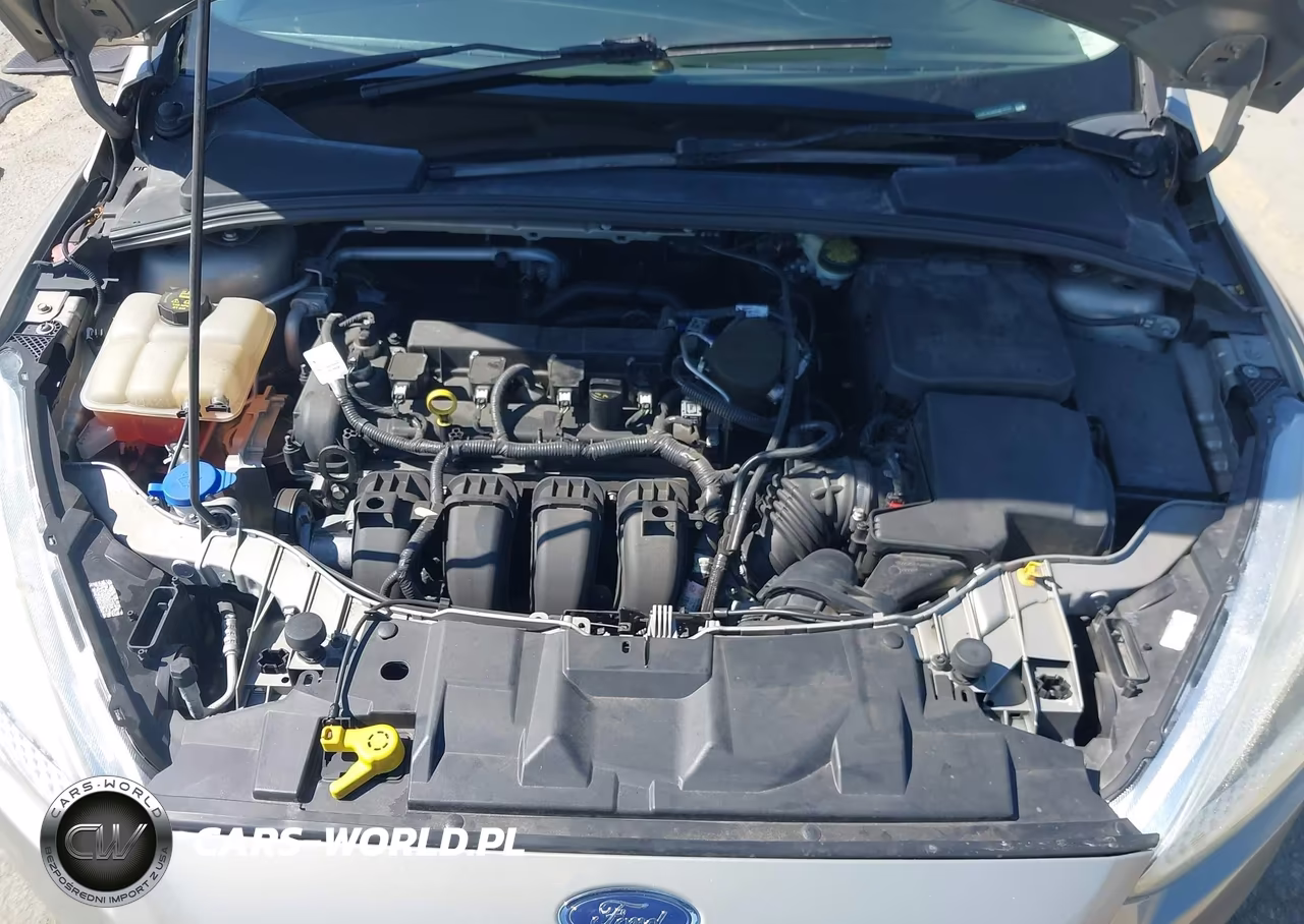 2016 Ford Focus Se VIN:1FADP3F26GL315407 - 10