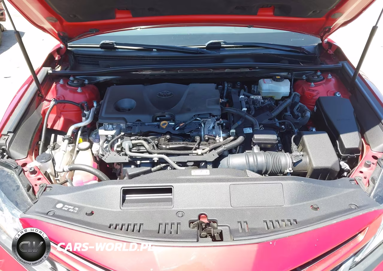 2020 Toyota Camry Se Hybrid VIN:4T1G31AK0LU014193 - 10