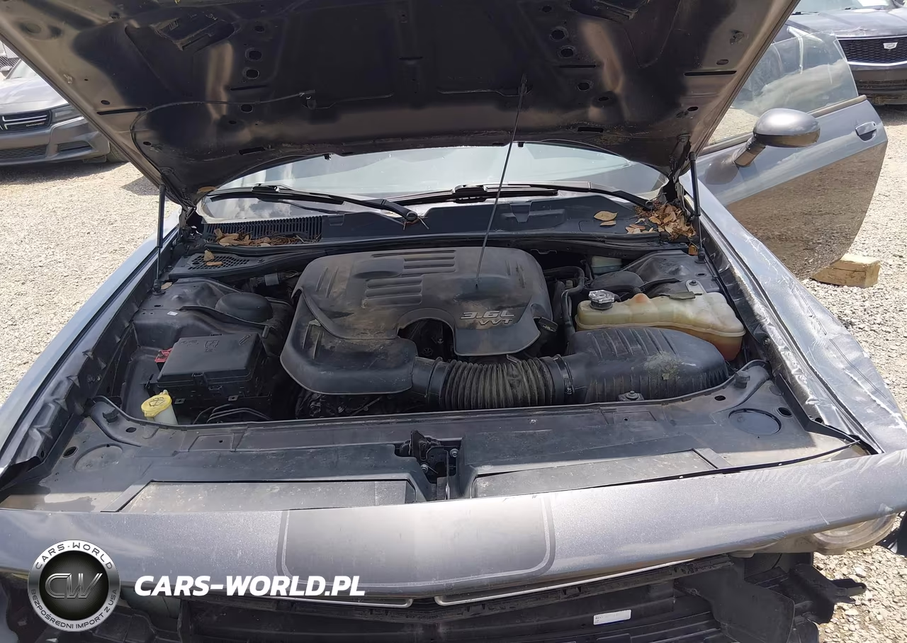 2015 Dodge Challenger Sxt VIN:2C3CDZAGXFH895605 - 10