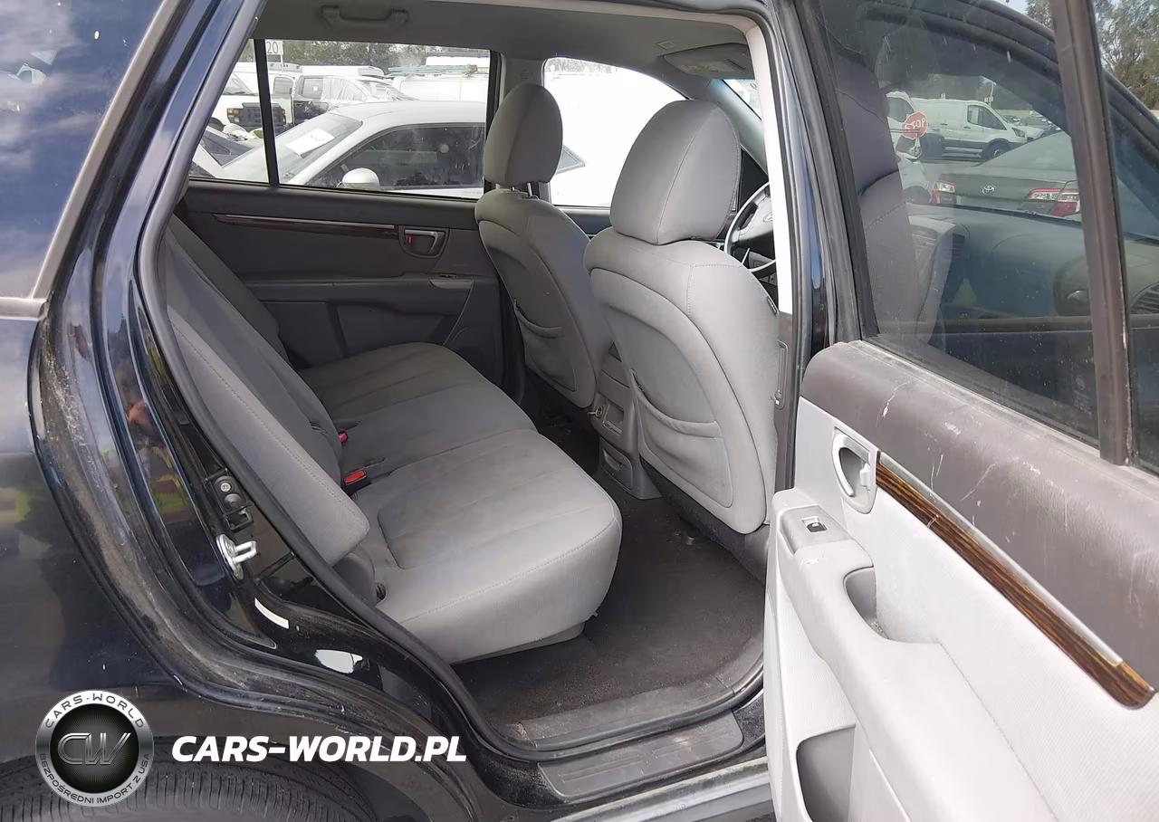 2010 Hyundai Santa Fe Gls VIN:5NMSG3AB0AH353815 - 8