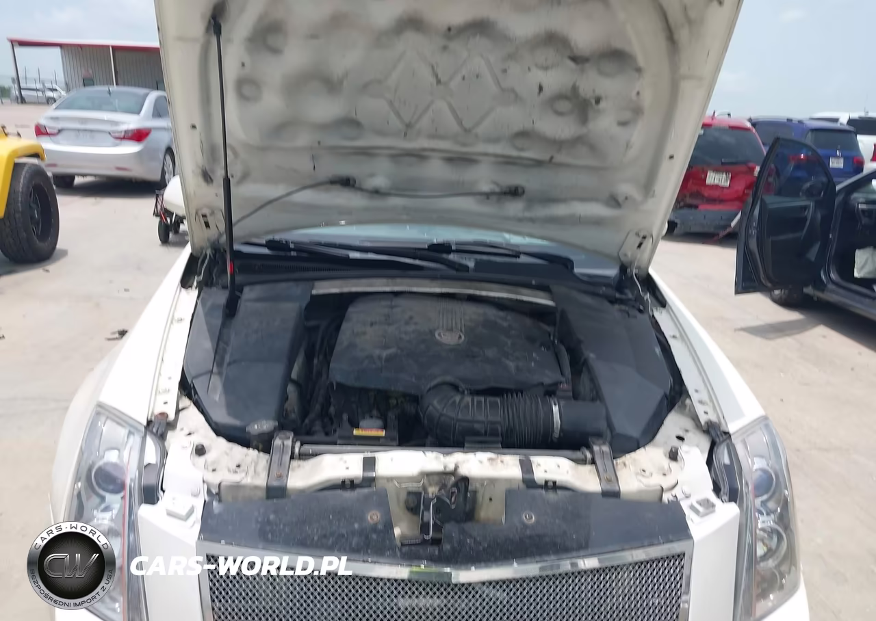2011 Cadillac Cts Luxury VIN:1G6DE5EY3B0104051 - 10