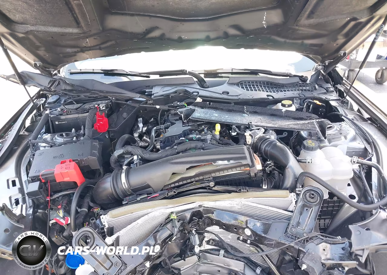 2026 Ford Mustang Ecoboost Fastback VIN:1FA6P8TH7T5104603 - 10