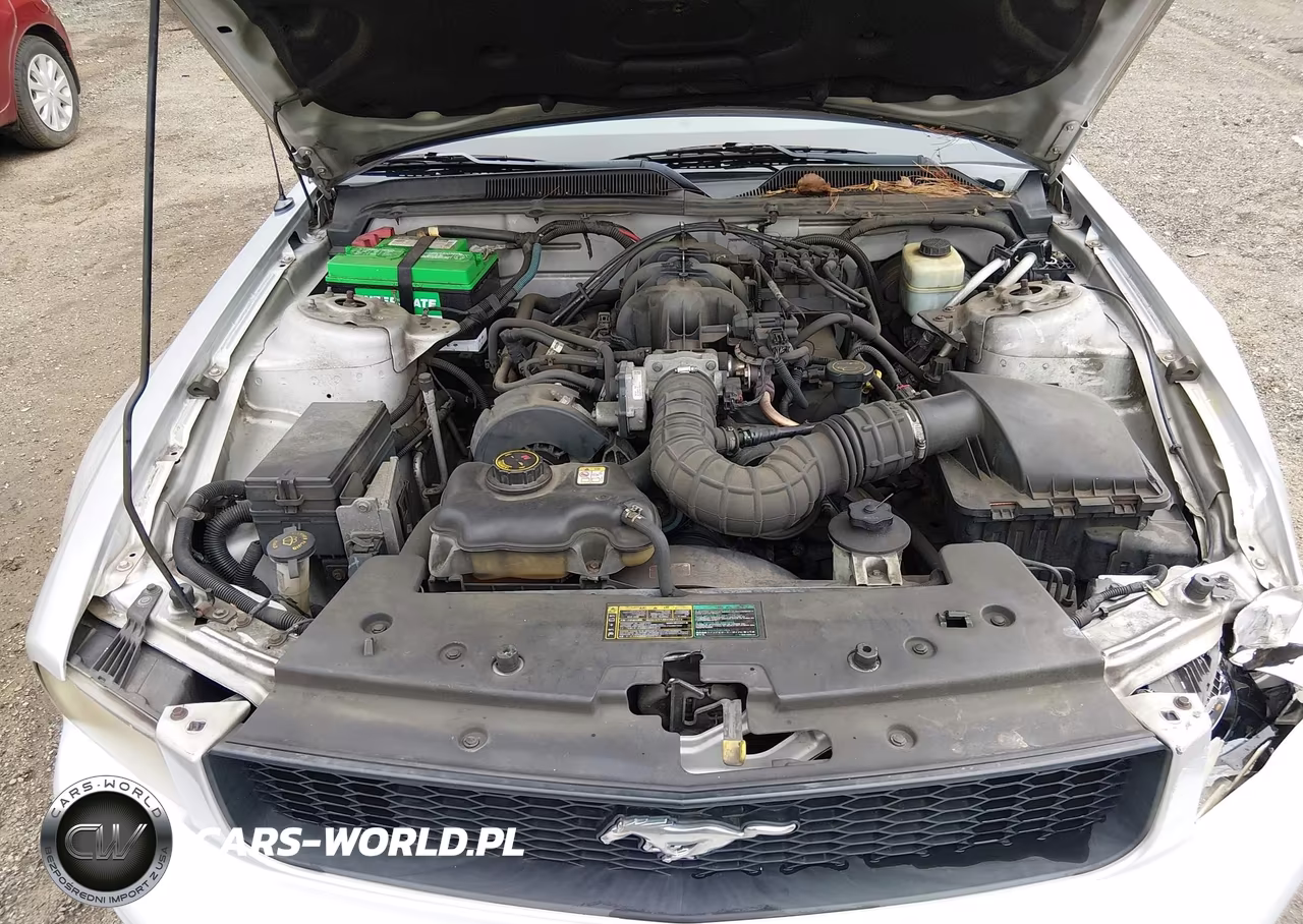 2005 Ford Mustang VIN:1ZVFT80NX55187962 - 10