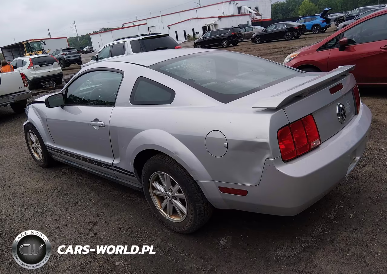2005 Ford Mustang VIN:1ZVFT80NX55187962 - 3