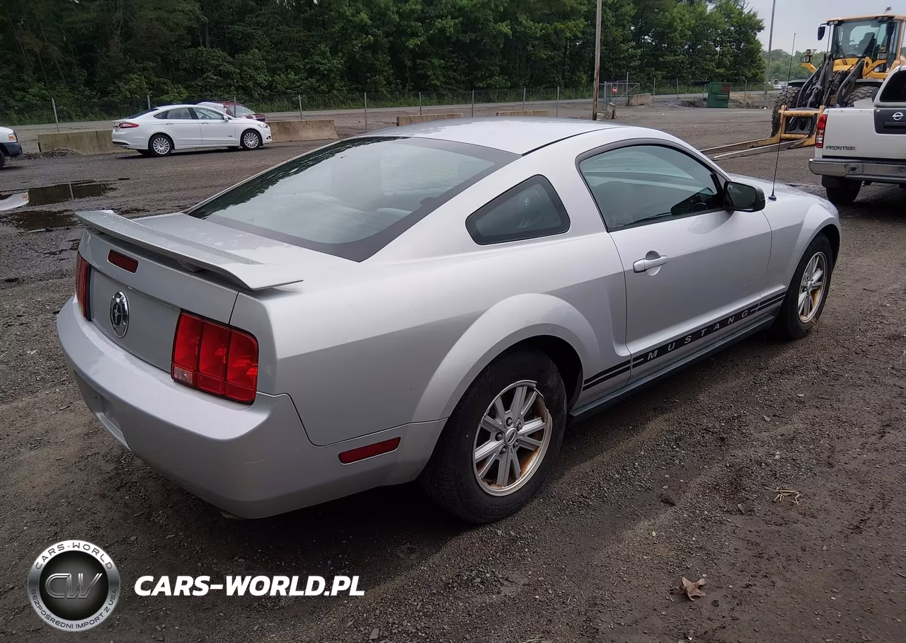 2005 Ford Mustang VIN:1ZVFT80NX55187962 - 4