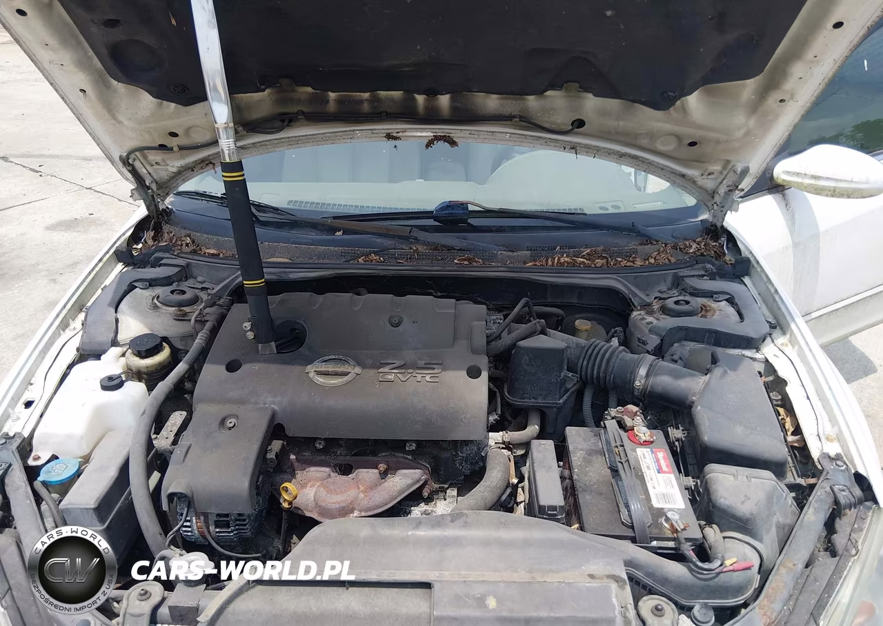 2003 Nissan Altima 2.5 Sl VIN:1N4AL11D93C240305 - 10