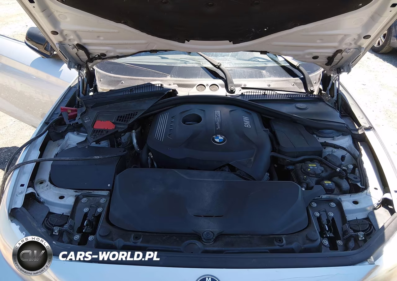 2017 BMW 230I VIN:WBA2F9C38HV664818 - 10