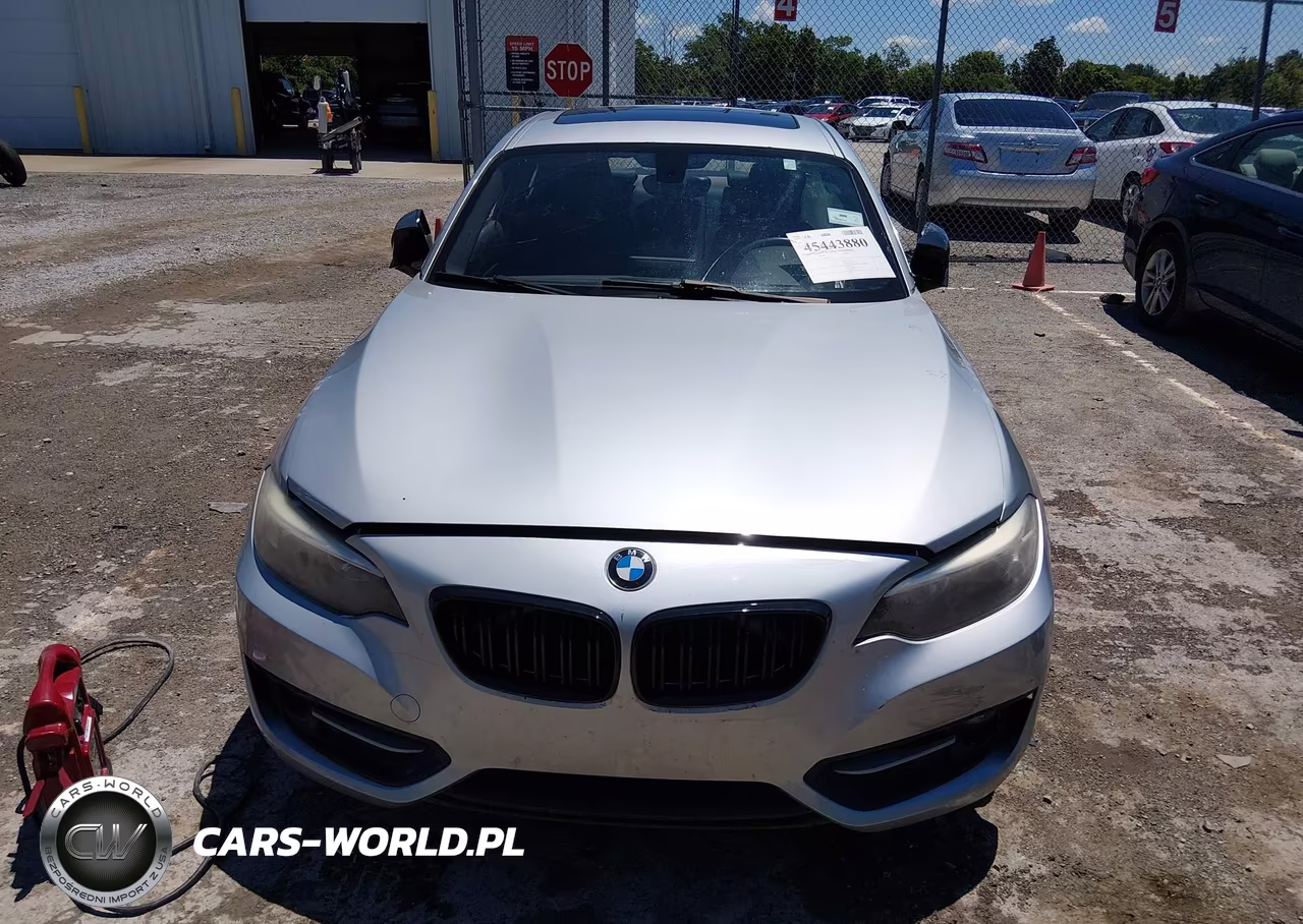 2017 BMW 230I VIN:WBA2F9C38HV664818 - 12