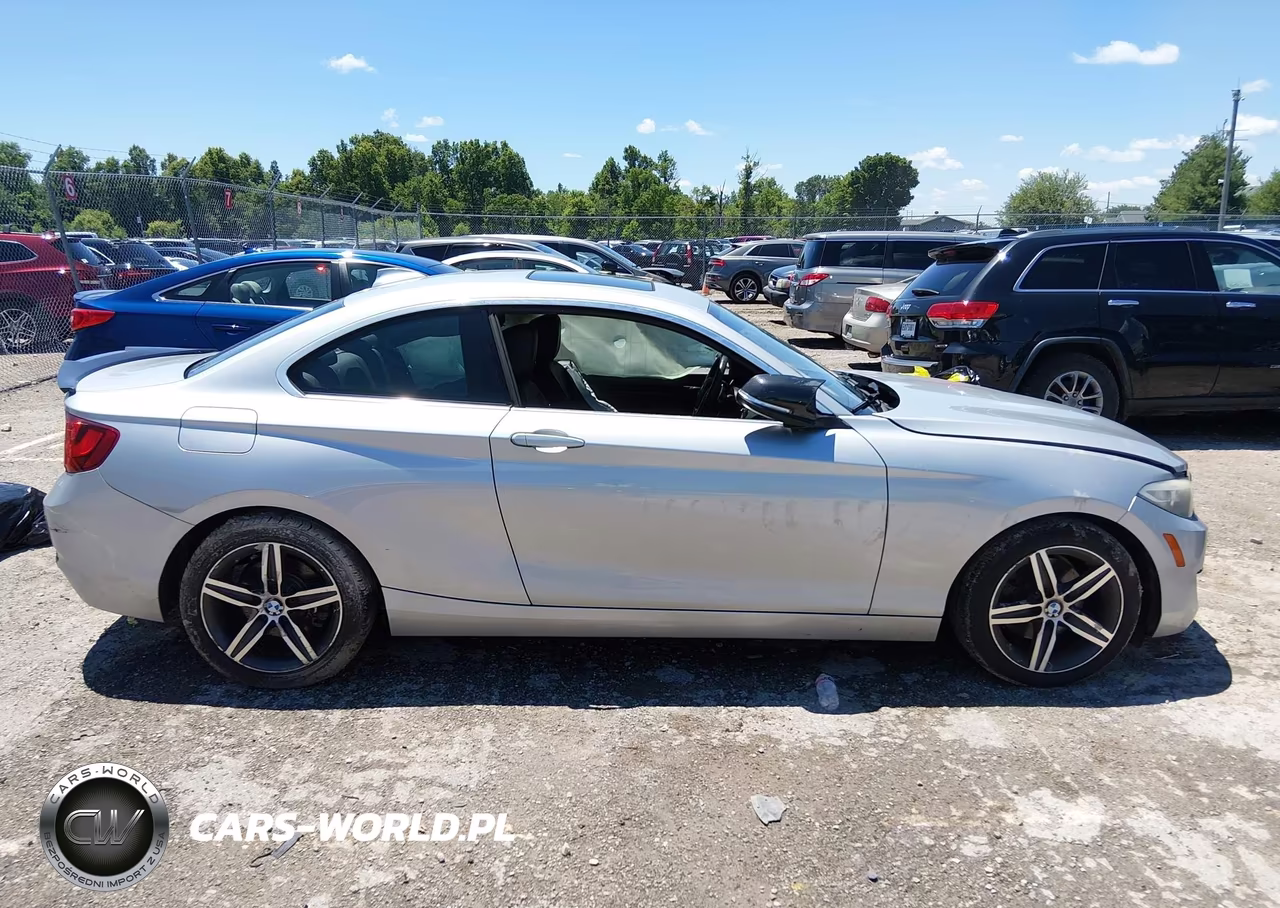 2017 BMW 230I VIN:WBA2F9C38HV664818 - 13