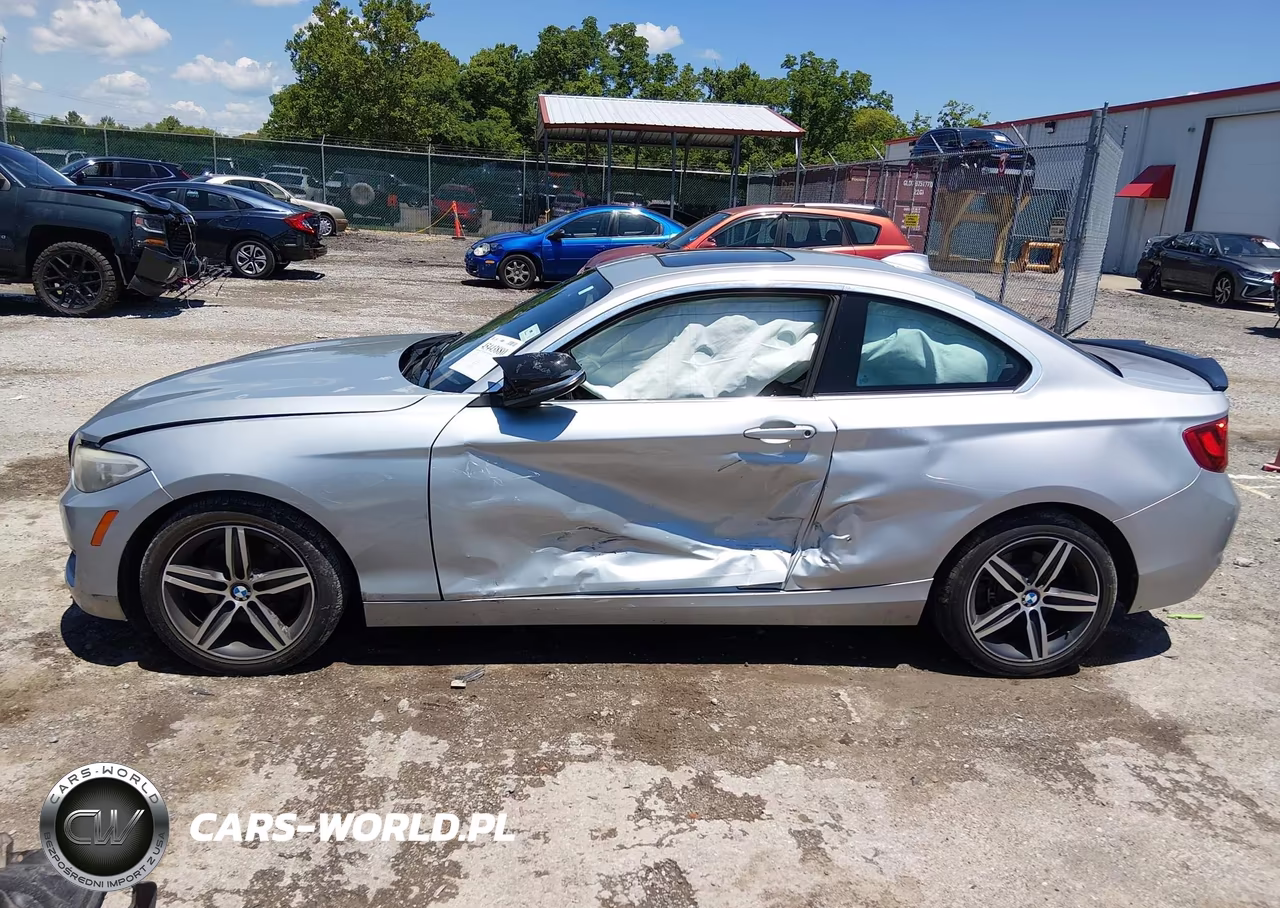 2017 BMW 230I VIN:WBA2F9C38HV664818 - 14