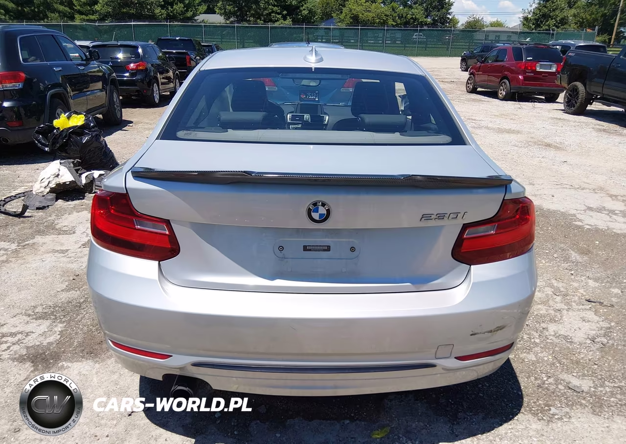 2017 BMW 230I VIN:WBA2F9C38HV664818 - 16
