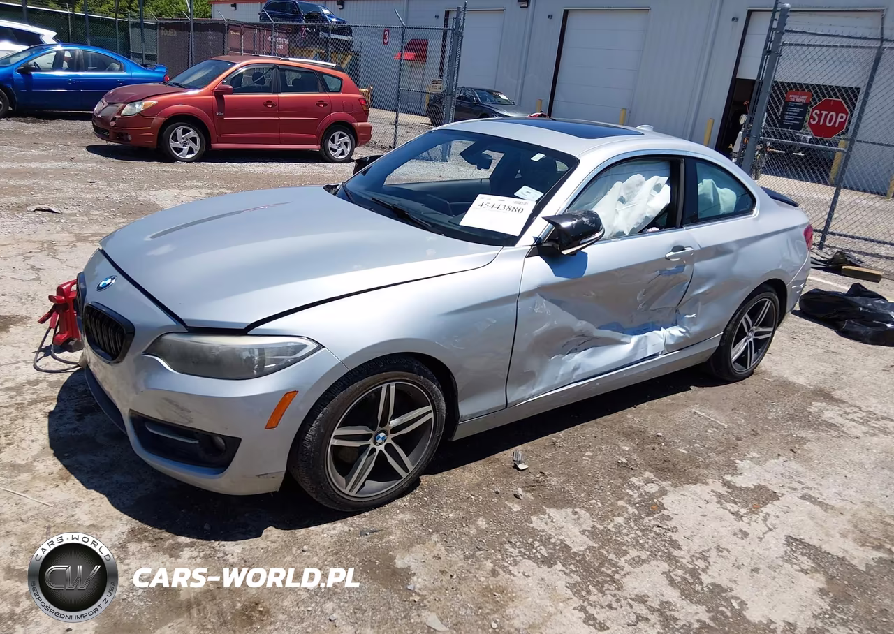 2017 BMW 230I VIN:WBA2F9C38HV664818 - 2
