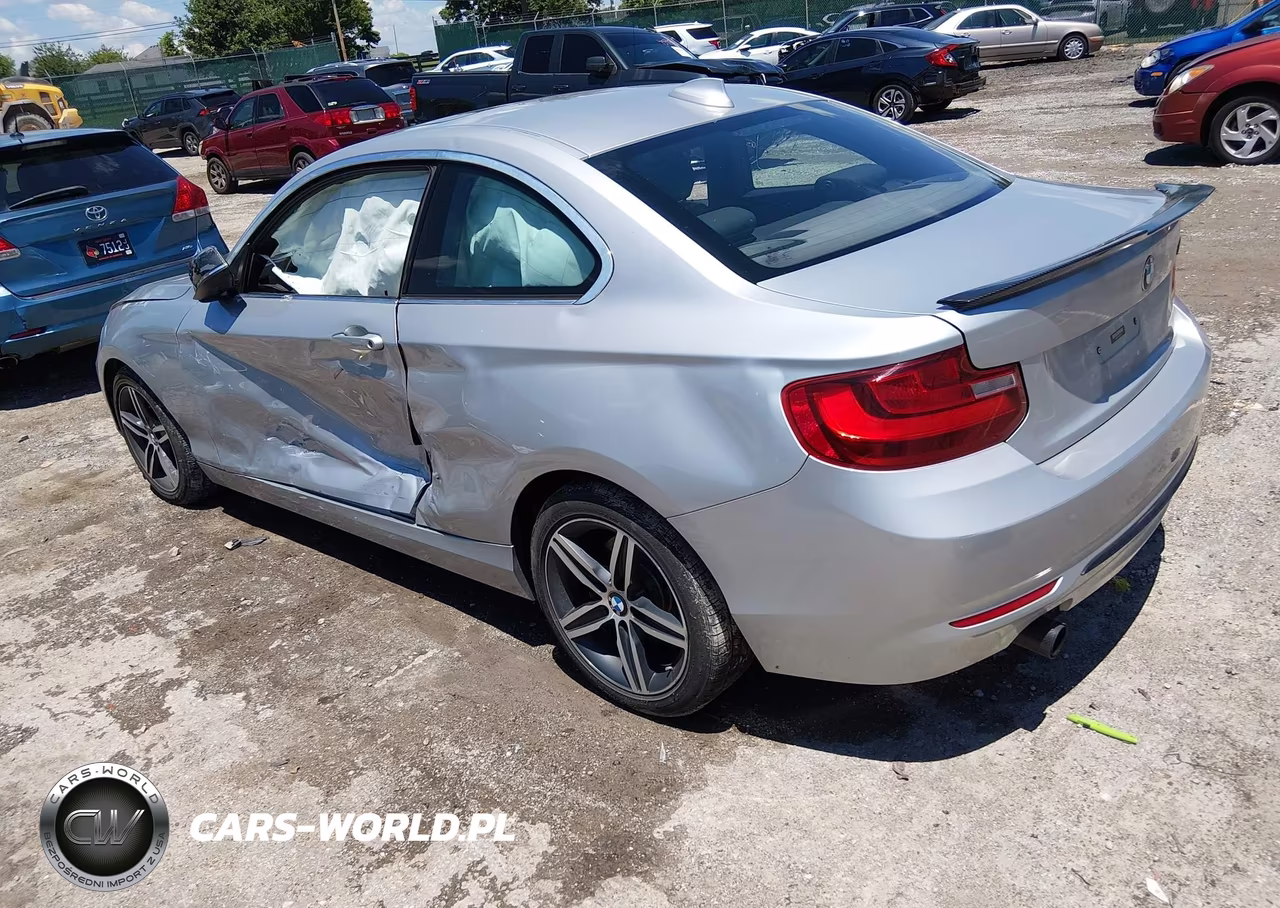 2017 BMW 230I VIN:WBA2F9C38HV664818 - 3