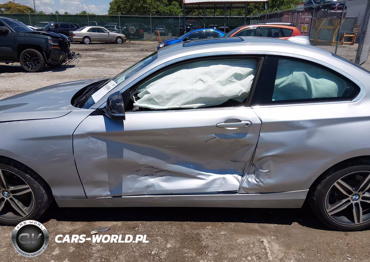 2017 BMW 230I VIN:WBA2F9C38HV664818 - 6