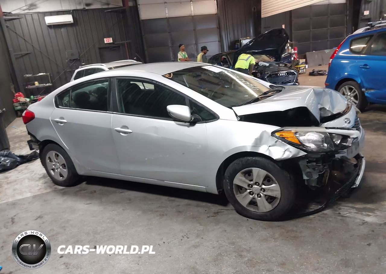 2016 Kia Forte Lx VIN:KNAFK4A67G5613628 - 12