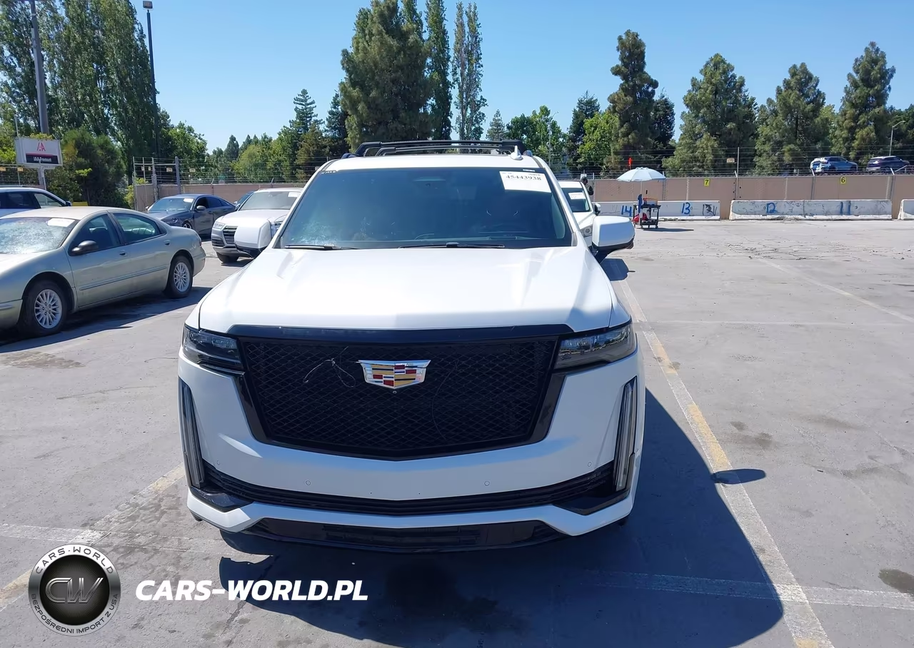 2023 Cadillac Escalade 4Wd Sport VIN:1GYS4FKLXPR265838 - 12