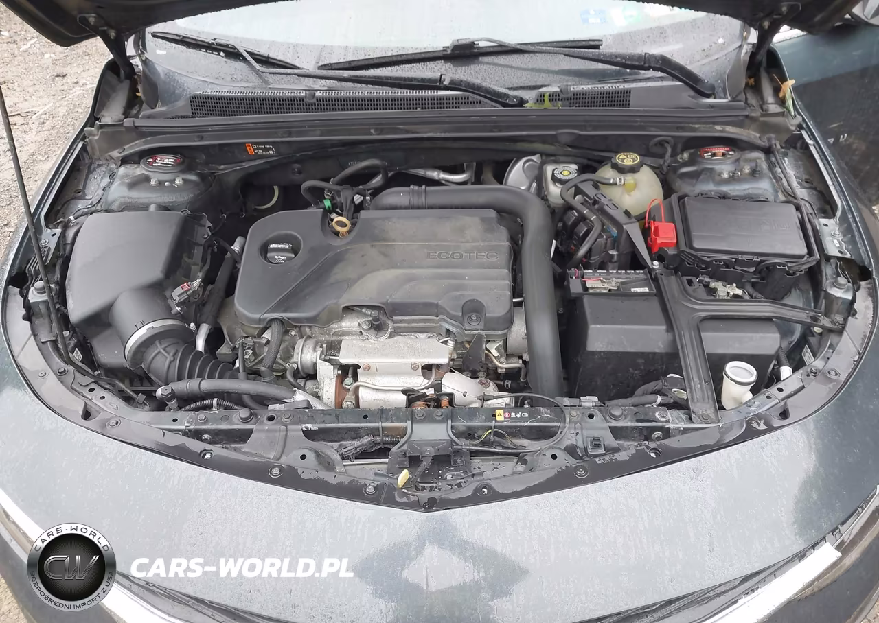 2019 Chevrolet Malibu Lt VIN:1G1ZD5ST4KF171780 - 10