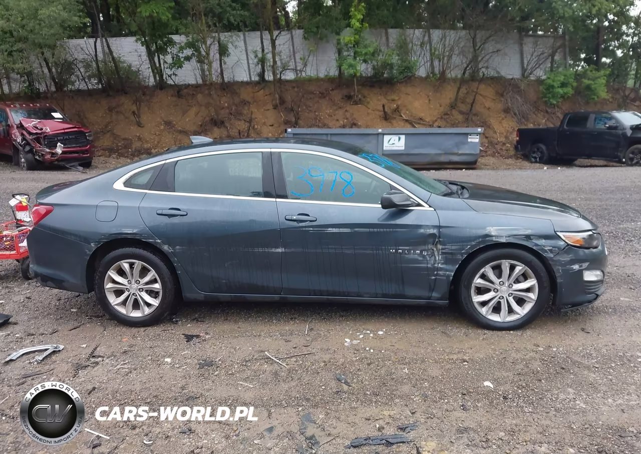 2019 Chevrolet Malibu Lt VIN:1G1ZD5ST4KF171780 - 13