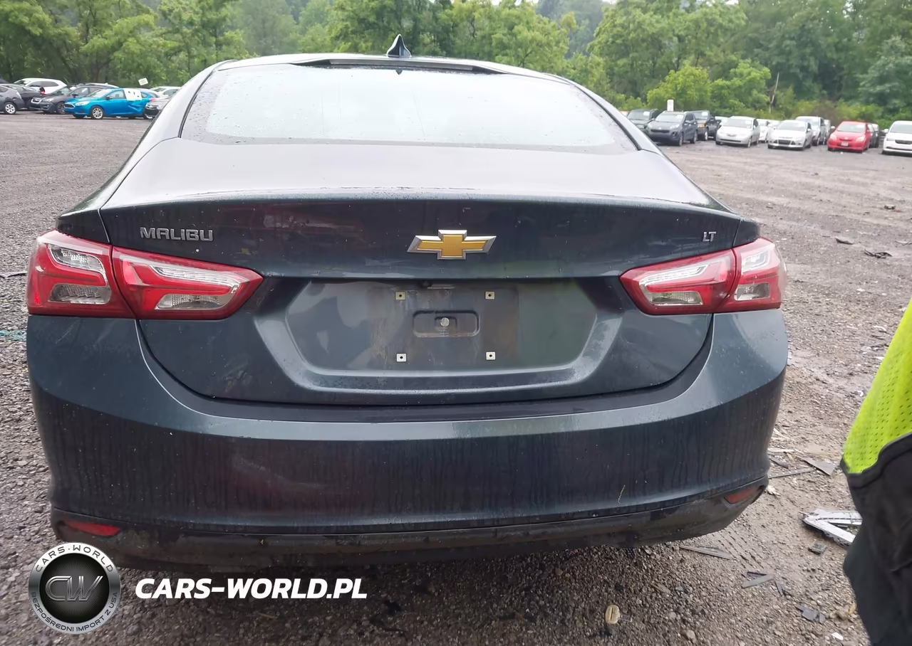 2019 Chevrolet Malibu Lt VIN:1G1ZD5ST4KF171780 - 16