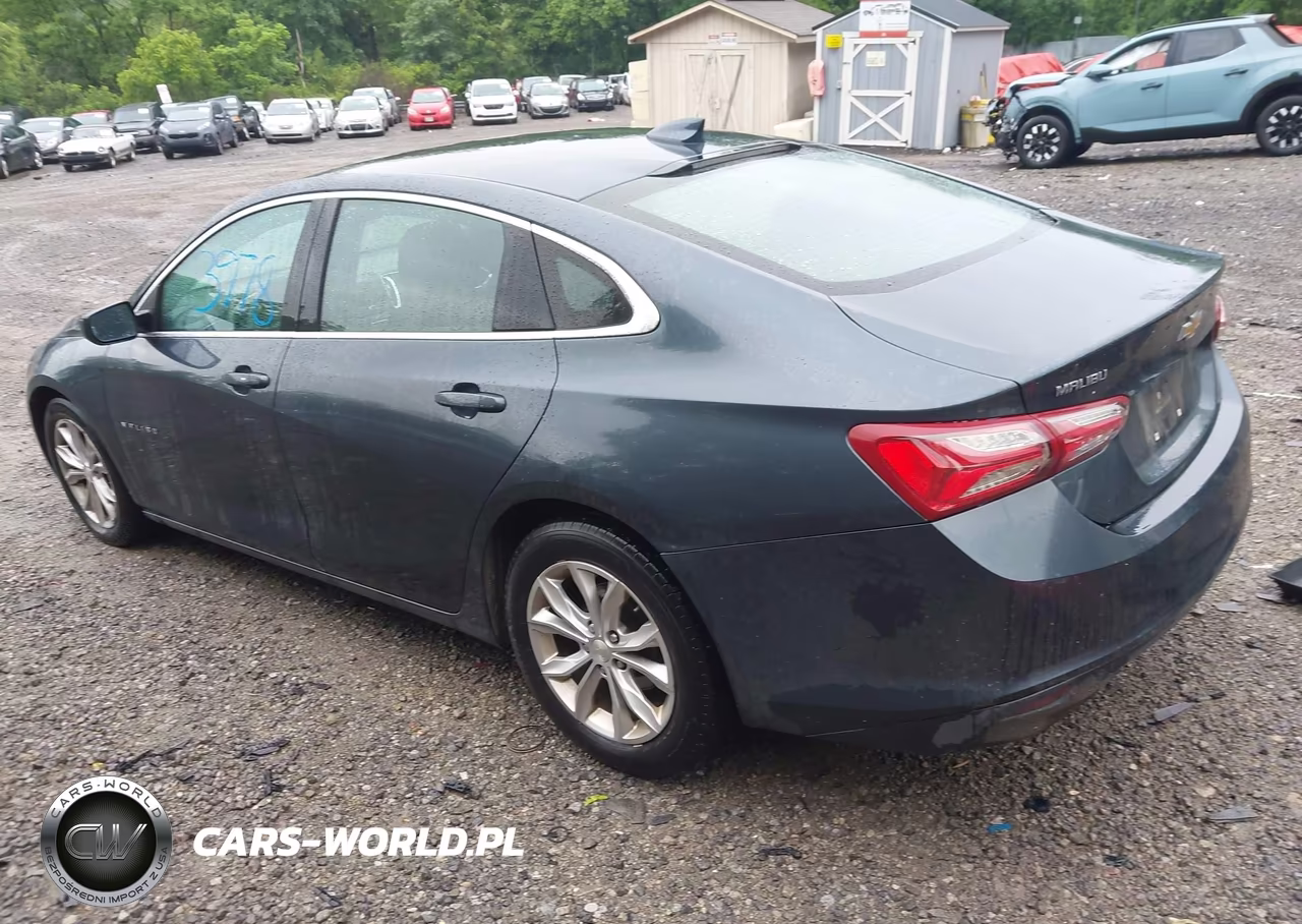 2019 Chevrolet Malibu Lt VIN:1G1ZD5ST4KF171780 - 3
