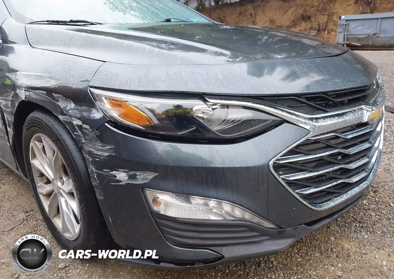 2019 Chevrolet Malibu Lt VIN:1G1ZD5ST4KF171780 - 6
