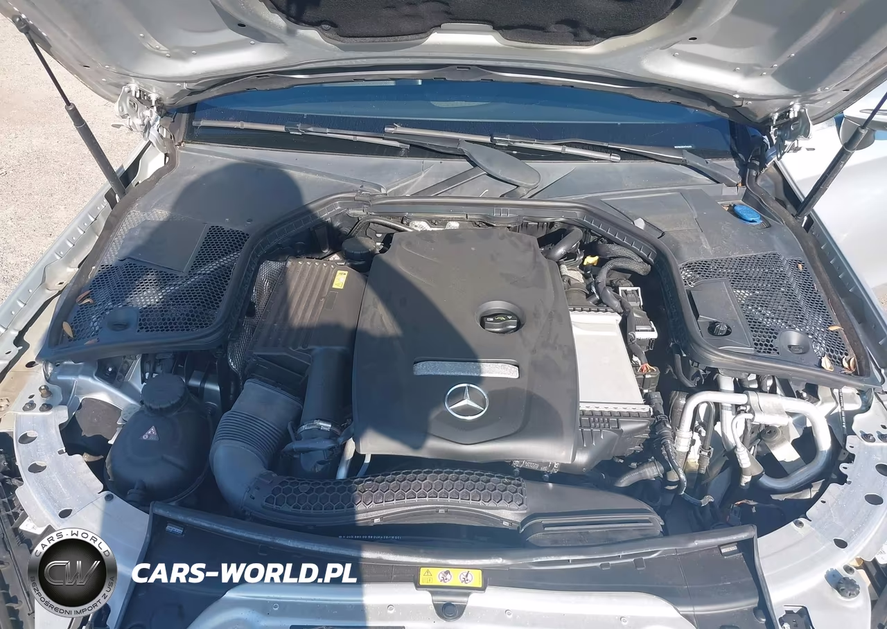 2017 Mercedes-Benz C 300 VIN:WDDWJ4JB2HF442405 - 10