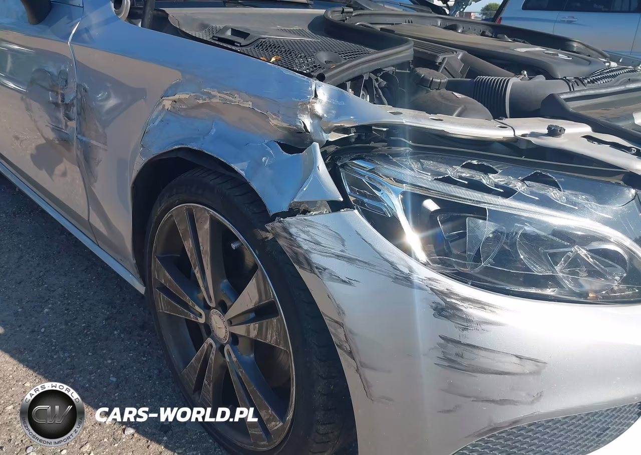 2017 Mercedes-Benz C 300 VIN:WDDWJ4JB2HF442405 - 6