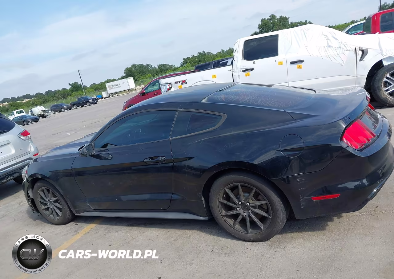 2017 Ford Mustang V6 VIN:1FA6P8AM1H5285642 - 14