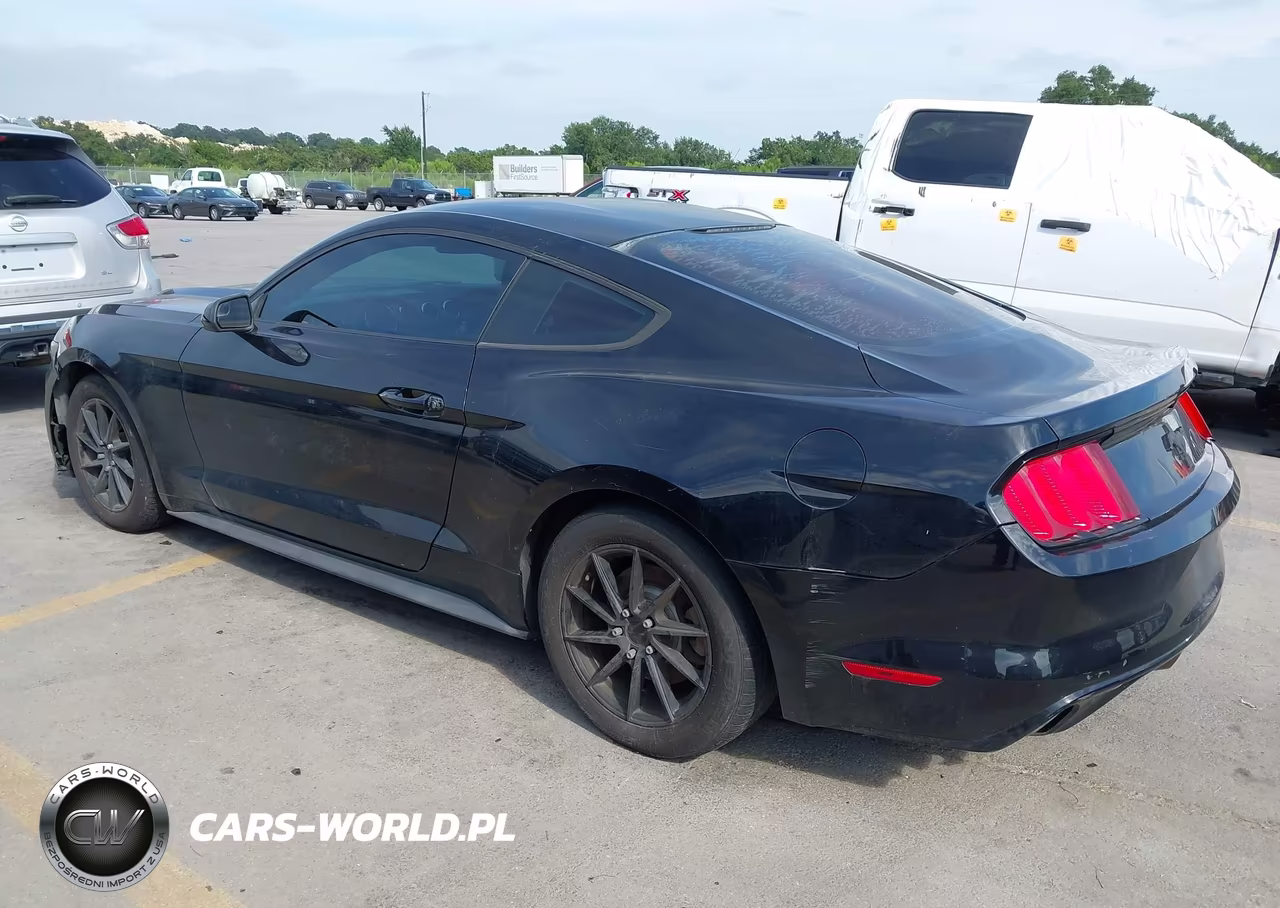 2017 Ford Mustang V6 VIN:1FA6P8AM1H5285642 - 3