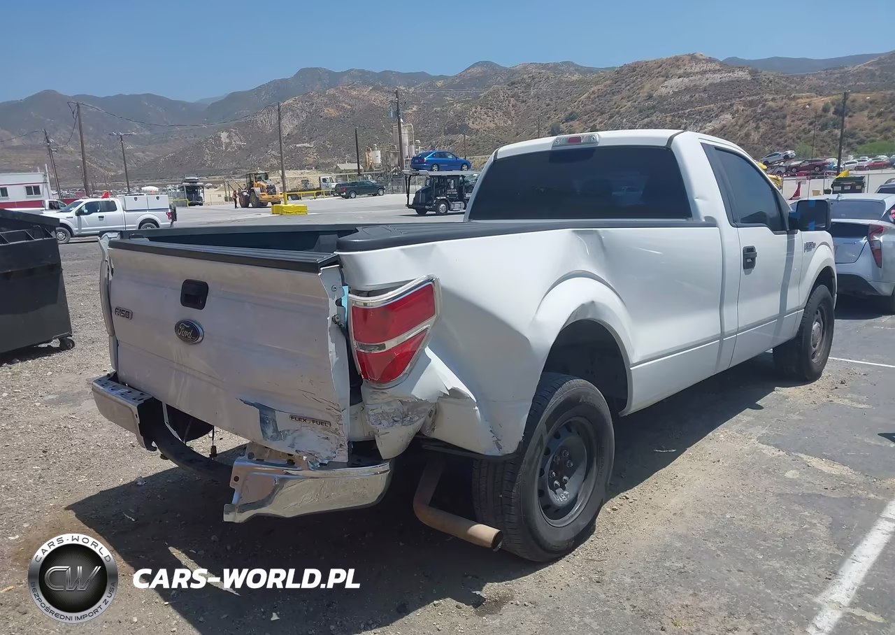 2014 Ford F-150 Xl VIN:1FTNF1CF4EKD16698 - 4