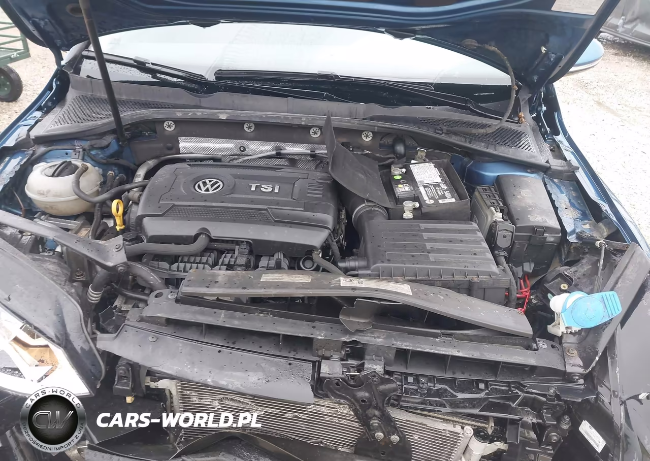 2016 Volkswagen Golf Sportwagen Tsi S 4-Door VIN:3VWC17AU9GM501106 - 10