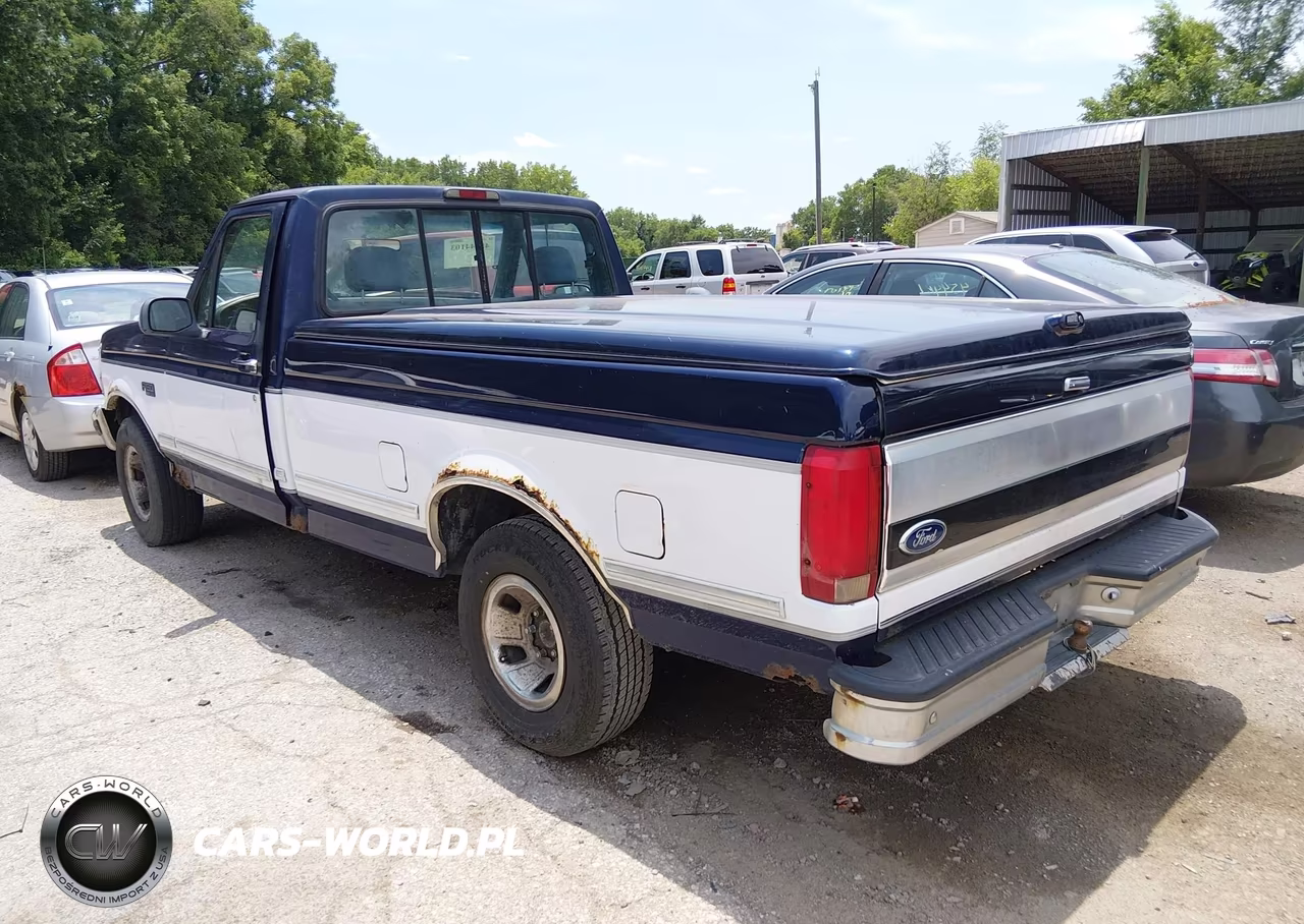 1994 Ford F150 VIN:1FTEF15N8RNB18182 - 3