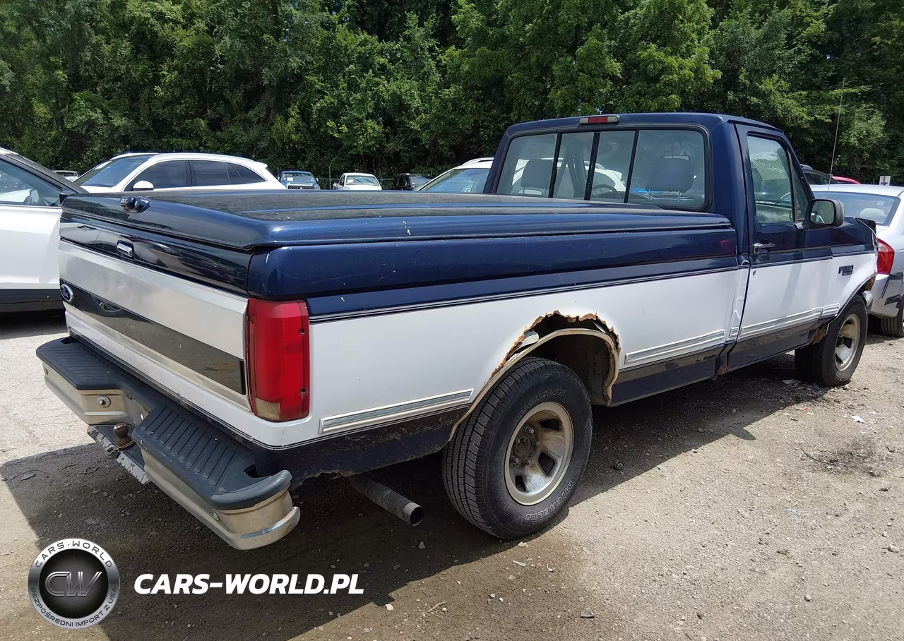 1994 Ford F150 VIN:1FTEF15N8RNB18182 - 4