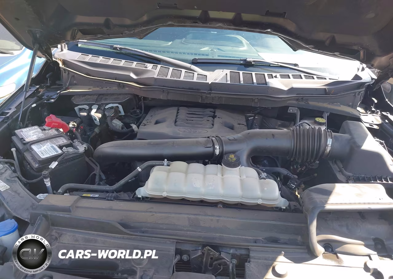 2023 Ford F-150 Xlt VIN:1FTFW1E81PFB05019 - 10