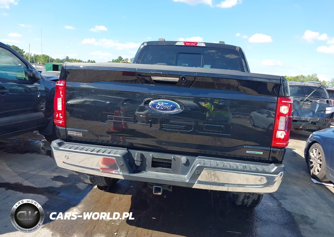 2023 Ford F-150 Xlt VIN:1FTFW1E81PFB05019 - 16