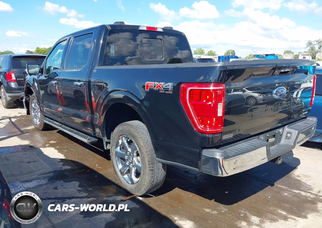 2023 Ford F-150 Xlt VIN:1FTFW1E81PFB05019 - 3