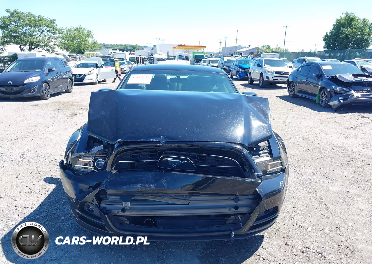 2014 Ford Mustang V6 VIN:1ZVBP8AM9E5330750 - 13