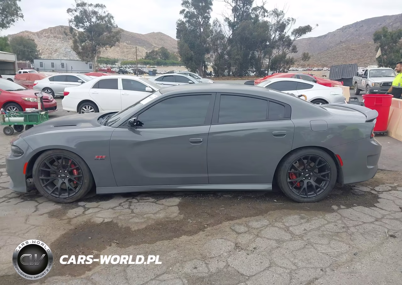 2019 Dodge Charger Scat Pack Rwd VIN:2C3CDXGJ9KH530981 - 14