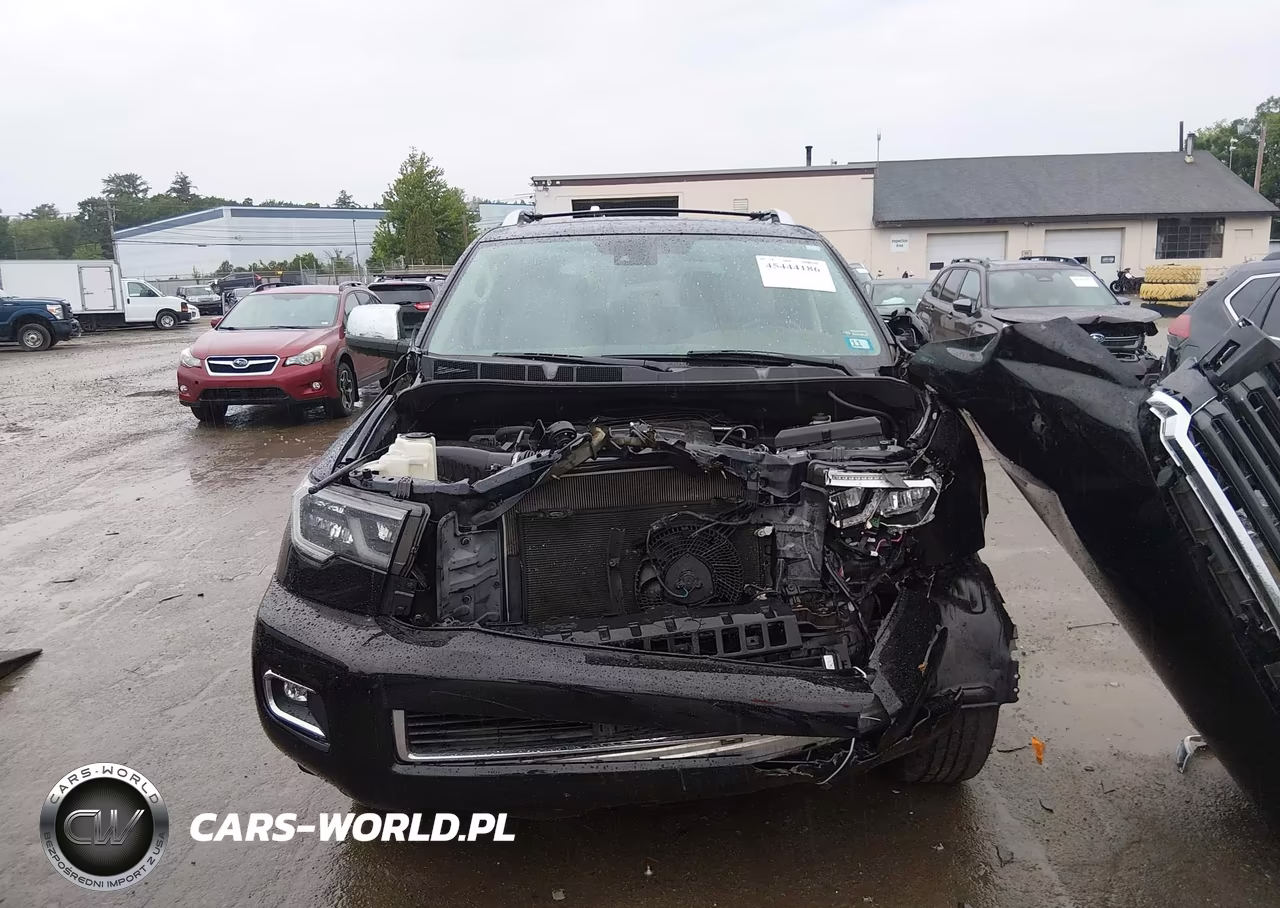 2019 Toyota Sequoia Limited VIN:5TDJY5G12KS171521 - 13