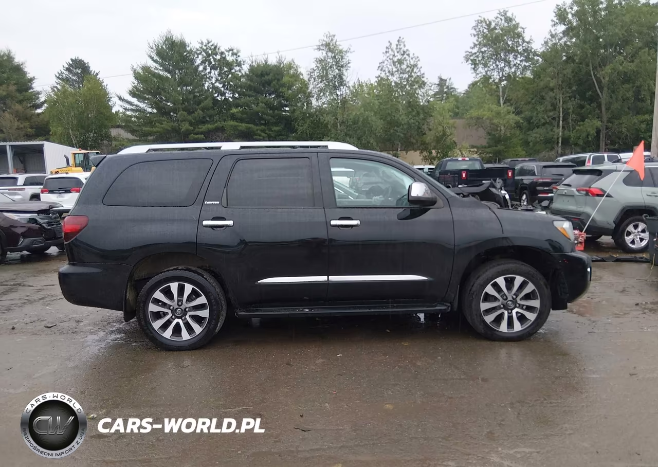 2019 Toyota Sequoia Limited VIN:5TDJY5G12KS171521 - 14