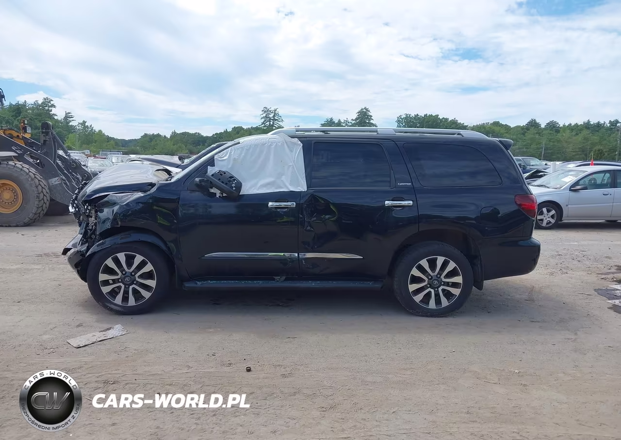 2019 Toyota Sequoia Limited VIN:5TDJY5G12KS171521 - 15