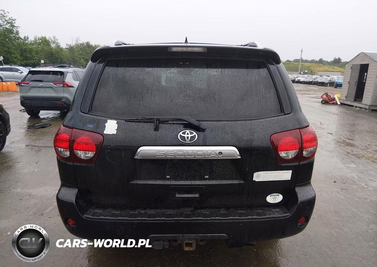 2019 Toyota Sequoia Limited VIN:5TDJY5G12KS171521 - 17