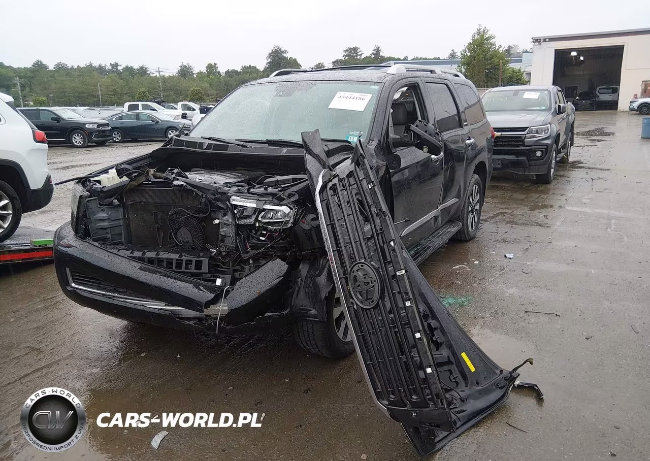 2019 Toyota Sequoia Limited VIN:5TDJY5G12KS171521 - 2