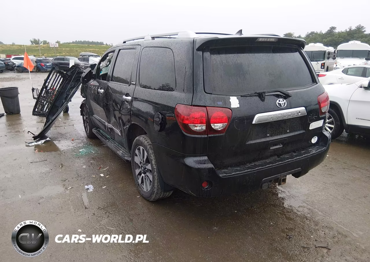 2019 Toyota Sequoia Limited VIN:5TDJY5G12KS171521 - 3