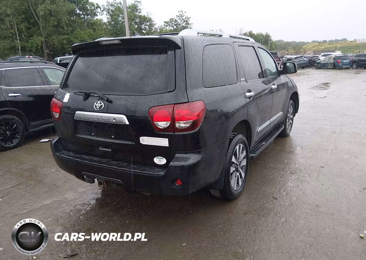2019 Toyota Sequoia Limited VIN:5TDJY5G12KS171521 - 4