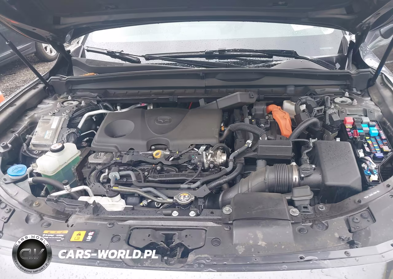 2025 Mazda Cx-50 Hybrid Premium Package VIN:7MMVAADW3SN102194 - 10