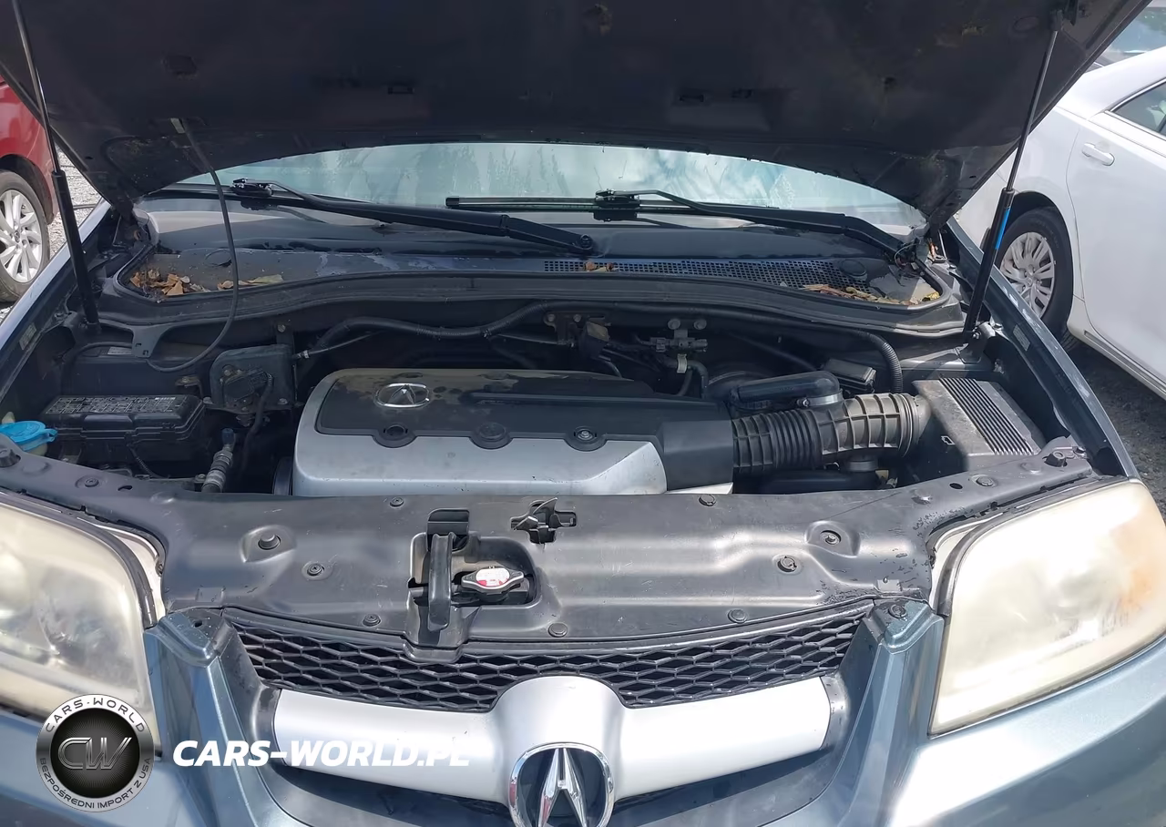 2006 Acura Mdx VIN:2HNYD18826H527656 - 10