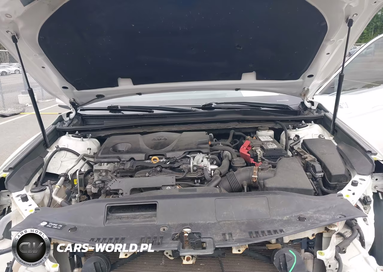 2020 Toyota Camry Le VIN:4T1C11AKXLU929914 - 10