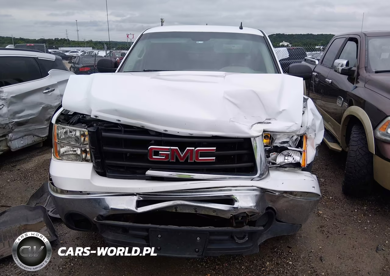 2009 GMC Sierra 1500 Sl VIN:1GTEK19C09Z213364 - 12