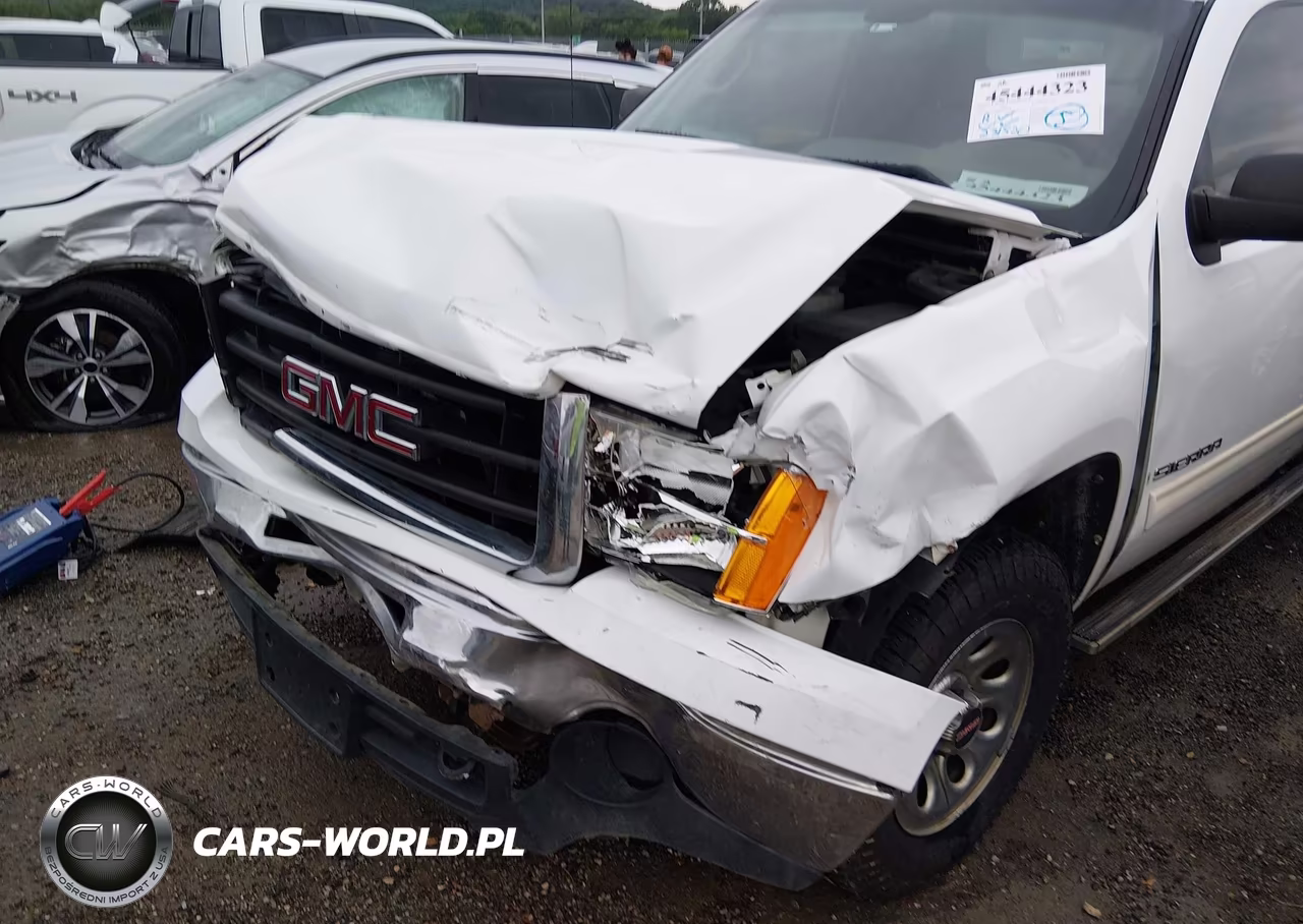2009 GMC Sierra 1500 Sl VIN:1GTEK19C09Z213364 - 6